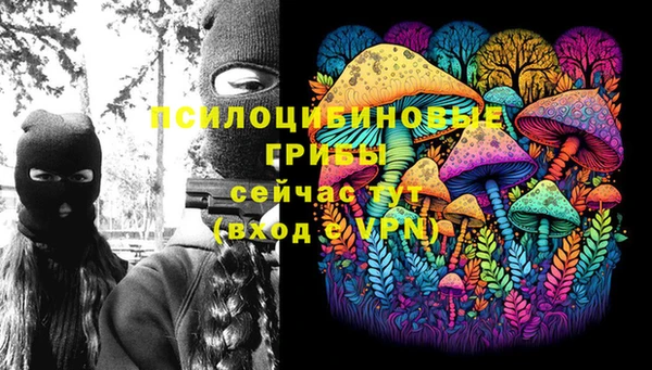 меф Алексин