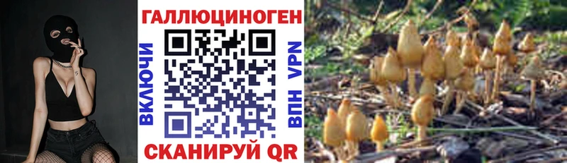 купить наркотики цена  Златоуст  Псилоцибиновые грибы GOLDEN TEACHER 