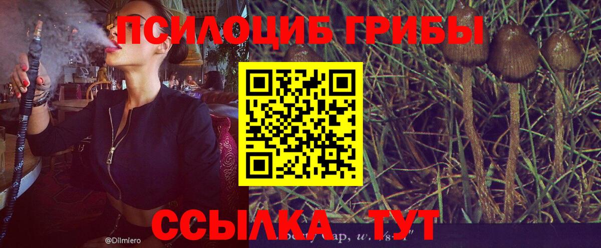 Златоуст  Галлюциногенные грибы GOLDEN TEACHER  Вход с VPN 