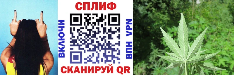 где можно купить   Златоуст  Бошки Шишки планчик 
